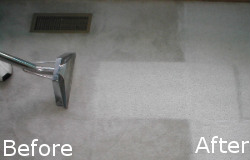 Before and After Carpet Cleaning